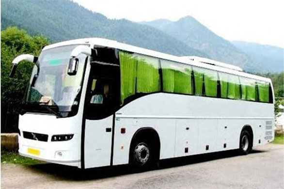 Bus Rental